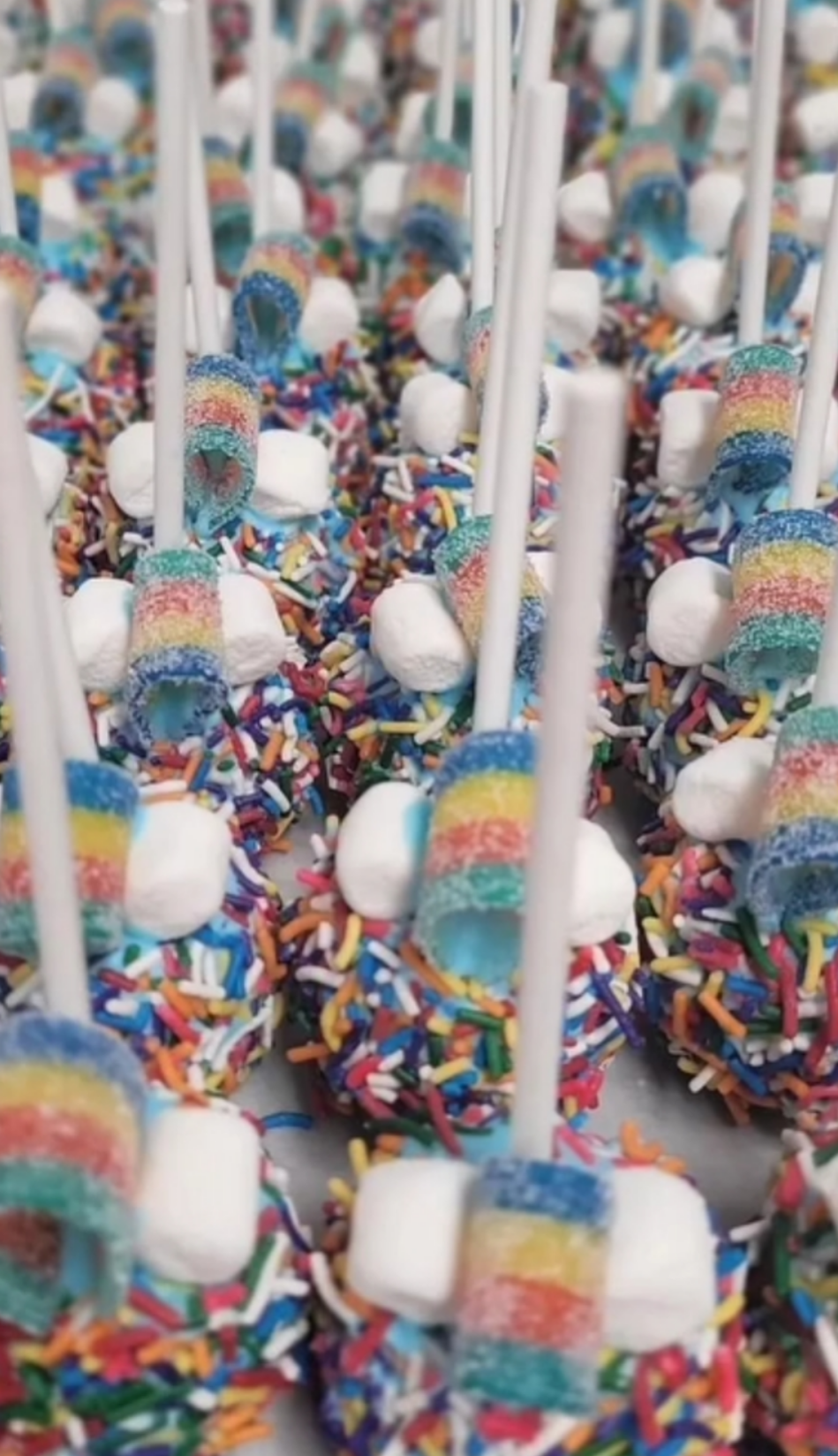 GF and allergy friendly Parshas Noach cake pops